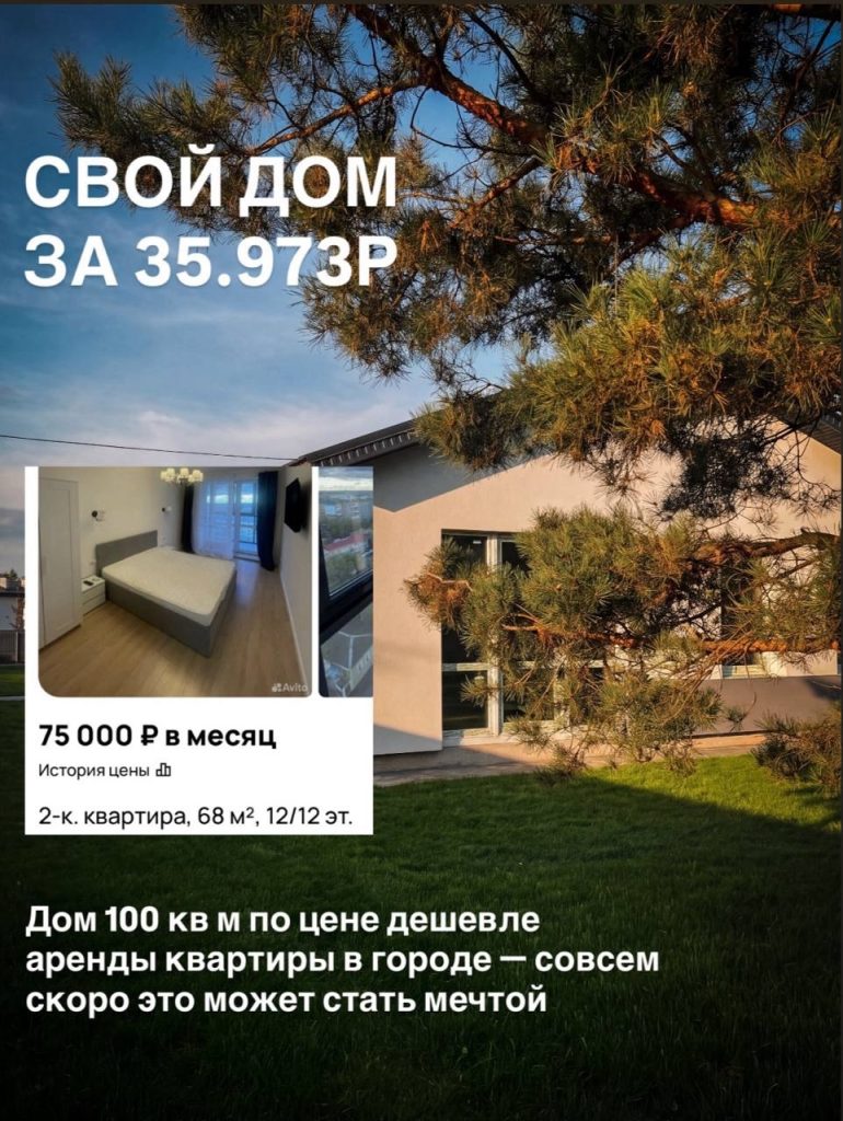 Последнее предложение в КП Грибы